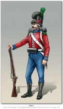 A Fine Corps and will Serve Faithfully : The Swiss Regiment de Roll in the British Army 1794-1816