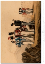 A Fine Corps and will Serve Faithfully : The Swiss Regiment de Roll in the British Army 1794-1816