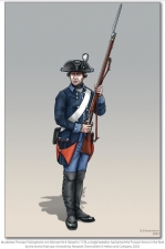 The War of the Bavarian Succession 1778-1779 : Prussian Military Power in Decline?