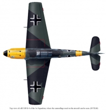The 'Blue Squadrons' : The Spanish in the Luftwaffe, 1941-1944 - click to enlarge The 'Blue Squadrons' : The Spanish in the Luftwaffe, 1941-1944