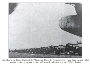 Damned Hunchbacks : Italys Forgotten Torpedo Bomber Units of the Second World War (1940-1943) - click to enlarge Damned Hunchbacks : Italys Forgotten Torpedo Bomber Units of the Second World War (1940-1943)