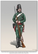 Light Troops in the Seven Years War : Irregular Warfare in Europe and North America, 1755-1763 - click to enlarge Light Troops in the Seven Years War : Irregular Warfare in Europe and North America, 1755-1763