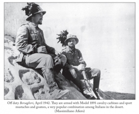Luck Was Lacking, but Valor Was Not : The Italian Army in North Africa, 1940-1943 - click to enlarge Luck Was Lacking, but Valor Was Not : The Italian Army in North Africa, 1940-1943