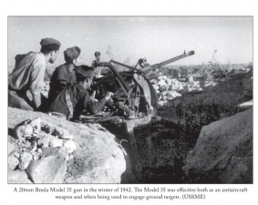 Luck Was Lacking, but Valor Was Not : The Italian Army in North Africa, 1940-1943 - click to enlarge Luck Was Lacking, but Valor Was Not : The Italian Army in North Africa, 1940-1943