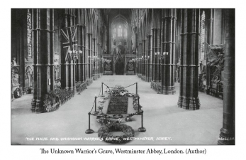 Beyond the Great Silence : The Legacy of Shell Shock in Britain and Germany 1918-1924