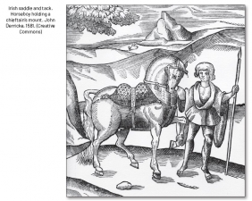 Of Kerns and Gallowglasses : Irish Armies of the 16th Century 1487-1587