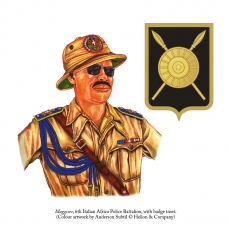 Birth and Fall of an Empire : The Italian Army in East Africa 1935-41 - click to enlarge Birth and Fall of an Empire : The Italian Army in East Africa 1935-41