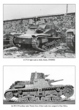 Birth and Fall of an Empire : The Italian Army in East Africa 1935-41 - click to enlarge Birth and Fall of an Empire : The Italian Army in East Africa 1935-41