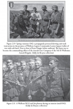 A European Anabasis : Western European Volunteers in the German Army and SS 1940-45 - click to enlarge A European Anabasis : Western European Volunteers in the German Army and SS 1940-45