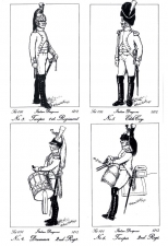 The Army of the Kingdom of Italy 1805-1814 (Revised Edition) : Uniforms, Organisation, Campaigns (Revised edition) - click to enlarge The Army of the Kingdom of Italy 1805-1814 (Revised Edition) : Uniforms, Organisation, Campaigns (Revised edition)