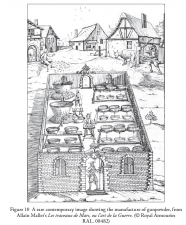 The Last Ironsides : The English Expedition to Portugal 1662-1668 - click to enlarge The Last Ironsides : The English Expedition to Portugal 1662-1668