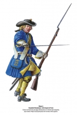 Peter the Great�s Disastrous Defeat : The Swedish Victory at Narva, 1700