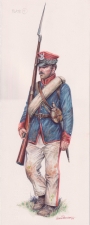 The Honved War : Armies of the Hungarian War of Independence 1848-49
