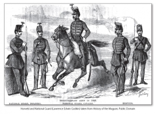 The Honved War : Armies of the Hungarian War of Independence 1848-49