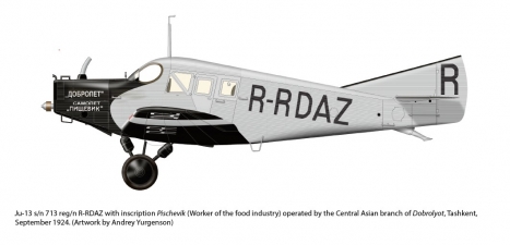 Soviet Military Aviation in Central Asia 1917-41 - click to enlarge Soviet Military Aviation in Central Asia 1917-41