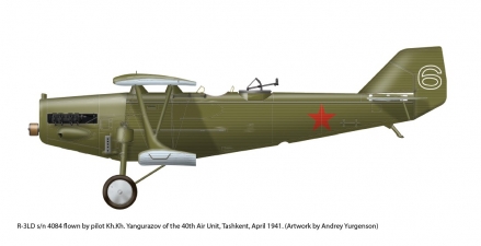 Soviet Military Aviation in Central Asia 1917-41 - click to enlarge Soviet Military Aviation in Central Asia 1917-41