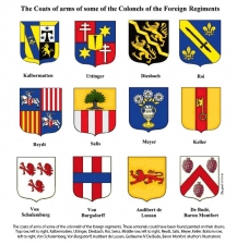 The Sardinian-Piedmontese Army in the War of the Austrian Succession 1740-1748 : Organisation, Uniforms & Equipment Including Flags, Standards & Guidons