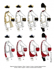 The Sardinian-Piedmontese Army in the War of the Austrian Succession 1740-1748 : Organisation, Uniforms & Equipment Including Flags, Standards & Guidons