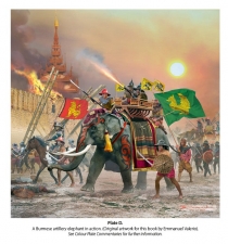 Elephants and Gunpowder : Southeast Asian Warfare 1380-1700