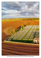 The Guards 1915-17 : An Elite Division at War