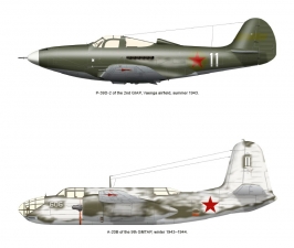 Curtiss Kittyhawks in the Soviet Far North 1941-45 Volume 1 : Origins and Early Combat Operations, 1942-May 1944