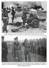 Danes on D-Day : Danish soldiers, sailors and airmen in the invasion of Normandy 1944