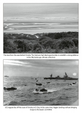Danes on D-Day : Danish soldiers, sailors and airmen in the invasion of Normandy 1944
