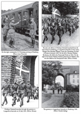 Danish Volunteers of the Waffen-SS : Freikorps Danmark 1941-43 - click to enlarge Danish Volunteers of the Waffen-SS : Freikorps Danmark 1941-43