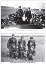 Danish Volunteers of the Waffen-SS : Freikorps Danmark 1941-43 - click to enlarge Danish Volunteers of the Waffen-SS : Freikorps Danmark 1941-43