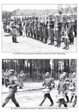 Danish Volunteers of the Waffen-SS : Freikorps Danmark 1941-43 - click to enlarge Danish Volunteers of the Waffen-SS : Freikorps Danmark 1941-43
