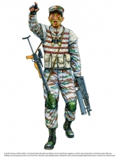 The Armed Forces of North Korea Volume 1 Part 1 : Korean People's Army Ground Forces Organisation, Strategy and Infantry