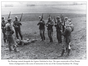 Sunwheels and Siegrunen Volume 1 : Wiking, Nordland, Nederland and the Germanic Waffen-SS in Photographs - click to enlarge Sunwheels and Siegrunen Volume 1 : Wiking, Nordland, Nederland and the Germanic Waffen-SS in Photographs