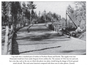 Sunwheels and Siegrunen Volume 1 : Wiking, Nordland, Nederland and the Germanic Waffen-SS in Photographs - click to enlarge Sunwheels and Siegrunen Volume 1 : Wiking, Nordland, Nederland and the Germanic Waffen-SS in Photographs