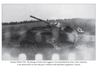 Sunwheels and Siegrunen Volume 1 : Wiking, Nordland, Nederland and the Germanic Waffen-SS in Photographs - click to enlarge Sunwheels and Siegrunen Volume 1 : Wiking, Nordland, Nederland and the Germanic Waffen-SS in Photographs