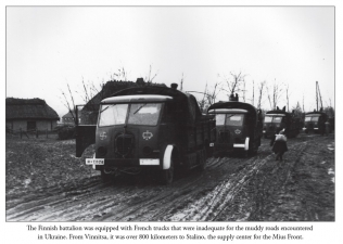 Sunwheels and Siegrunen Volume 1 : Wiking, Nordland, Nederland and the Germanic Waffen-SS in Photographs - click to enlarge Sunwheels and Siegrunen Volume 1 : Wiking, Nordland, Nederland and the Germanic Waffen-SS in Photographs