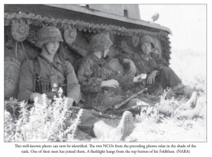 Sunwheels and Siegrunen Volume 1 : Wiking, Nordland, Nederland and the Germanic Waffen-SS in Photographs - click to enlarge Sunwheels and Siegrunen Volume 1 : Wiking, Nordland, Nederland and the Germanic Waffen-SS in Photographs
