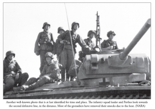 Sunwheels and Siegrunen Volume 1 : Wiking, Nordland, Nederland and the Germanic Waffen-SS in Photographs - click to enlarge Sunwheels and Siegrunen Volume 1 : Wiking, Nordland, Nederland and the Germanic Waffen-SS in Photographs
