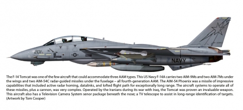 Air-to-Air Missiles Volume 1 : Development and Combat Across 80 Years. Technology, Development and Operation - click to enlarge Air-to-Air Missiles Volume 1 : Development and Combat Across 80 Years. Technology, Development and Operation