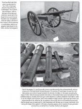 Wars and Soldiers in the Early Reign of Louis XIV Volume 8 : The Armies of Denmark-Norway, Courland and Danzig,1655-1690 - click to enlarge Wars and Soldiers in the Early Reign of Louis XIV Volume 8 : The Armies of Denmark-Norway, Courland and Danzig,1655-1690