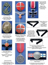 Norwegian Volunteers of the Waffen SS - click to enlarge Norwegian Volunteers of the Waffen SS