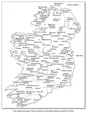 The Gaelic World at War : Soldiers & Soldiering in Ireland 1366-1547 - click to enlarge The Gaelic World at War : Soldiers & Soldiering in Ireland 1366-1547