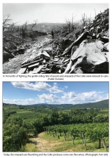 Thunder in the Mountains : The First World War on the Italian Front - click to enlarge Thunder in the Mountains : The First World War on the Italian Front
