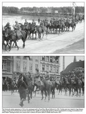 German Light Divisions 1938-39 Volume 1 : Formation, Armament, and Early Campaigns of 1938-39 - click to enlarge German Light Divisions 1938-39 Volume 1 : Formation, Armament, and Early Campaigns of 1938-39