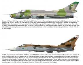 Operations Odyssey Dawn and Unified Protector : NATO and the Air War over Libya, 2011-2020 - click to enlarge Operations Odyssey Dawn and Unified Protector : NATO and the Air War over Libya, 2011-2020
