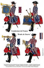The French Army in the War of the Austrian Succession 1740-1748 Volume 1 : General Command and Organisation, Maison du Roi, Uniforms, and Colours