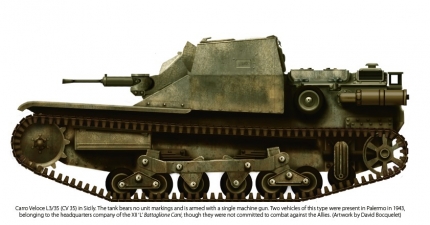 The Italian Army in the Battle for Sicily 1943