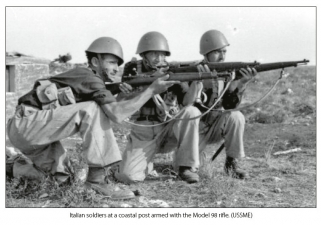 The Italian Army in the Battle for Sicily 1943