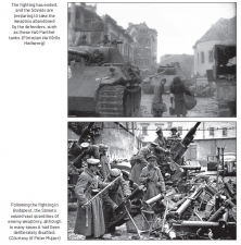The Siege and Assault of Budapest 1944-1945 : Fire on the Danube - click to enlarge The Siege and Assault of Budapest 1944-1945 : Fire on the Danube