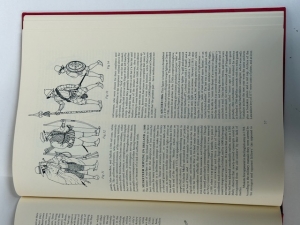 The Armies of England, Scotland, Ireland, the United Provinces, and the Spanish Netherlands 1487�1609 : Organisation, Tactics, Dress and Weapons