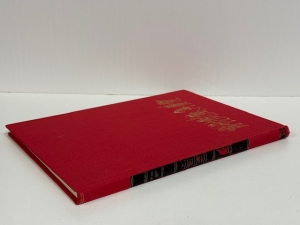 The Armies of England, Scotland, Ireland, the United Provinces, and the Spanish Netherlands 1487�1609 : Organisation, Tactics, Dress and Weapons